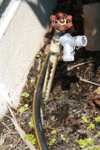 Leaking Water Pipe at 14731 Eagles Crossing Drive, Orlando, FL, Kevin Messer