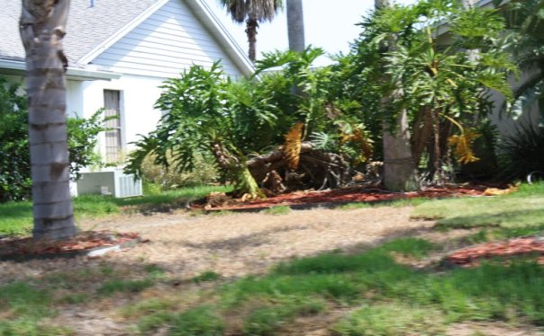 14731 Eagles Crossing Drive, Orlando, Florida